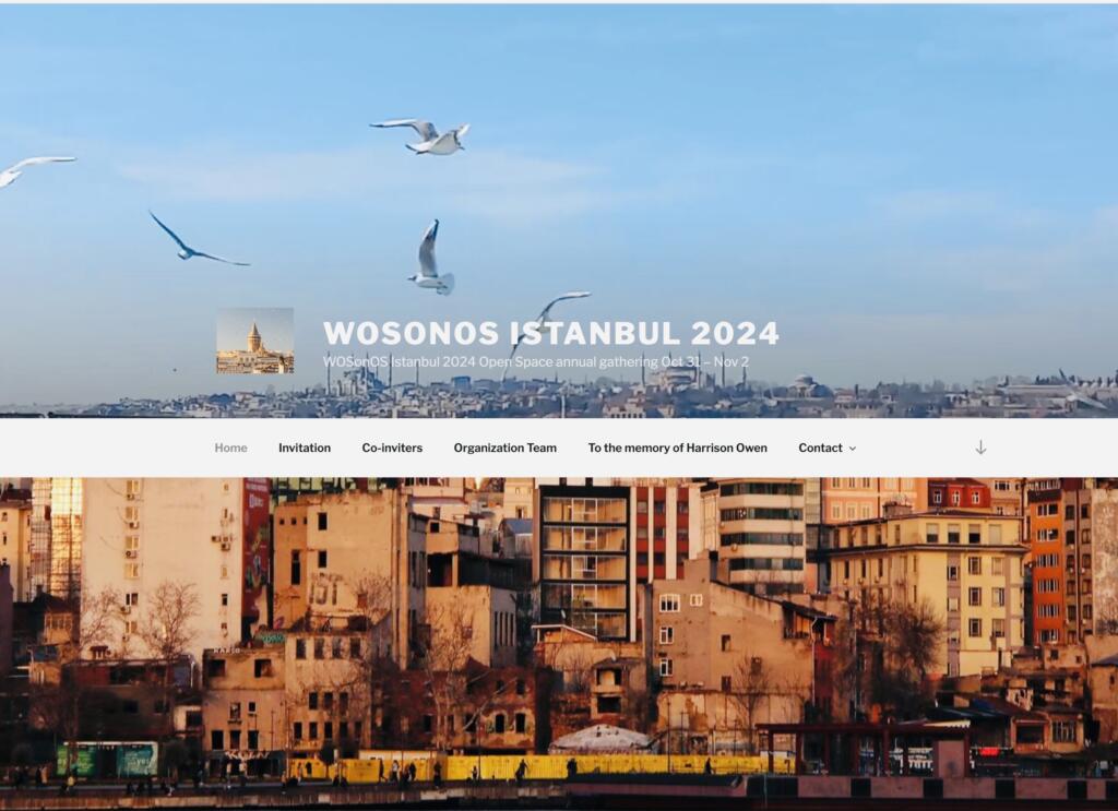 Titelbild für WOSonOS Istanbul 2024